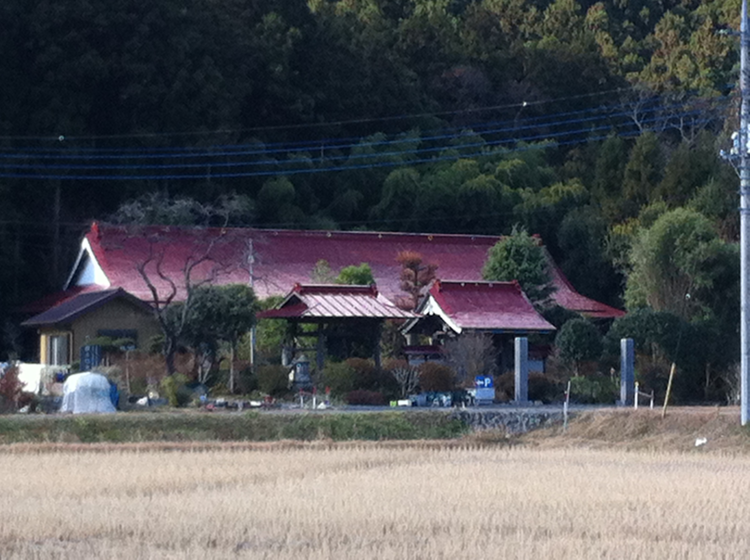 写真 2012-12-09 10 56 11.jpg